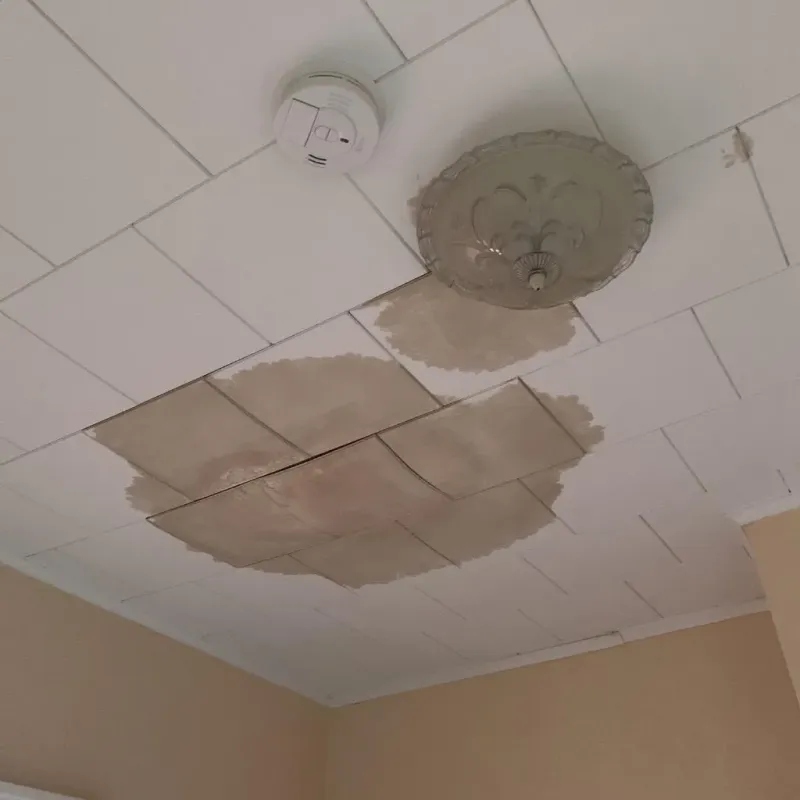 Ceiling Water Damage Repair in Cottle County, TX