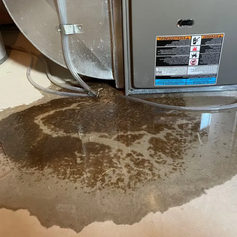 Pipe Burst and Leak Restoration in Cottle County, TX