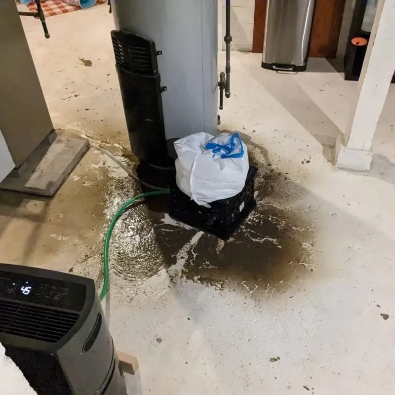 Sewage Backup Cleanup Service in Cottle County, TX